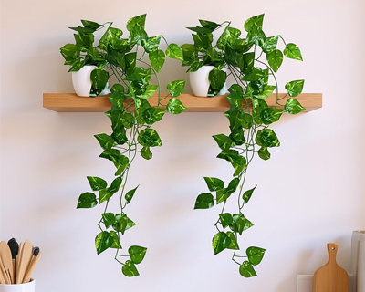 Vases