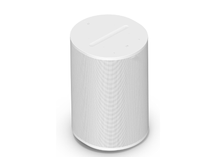 Smart Speaker with WiFi, Bluetooth