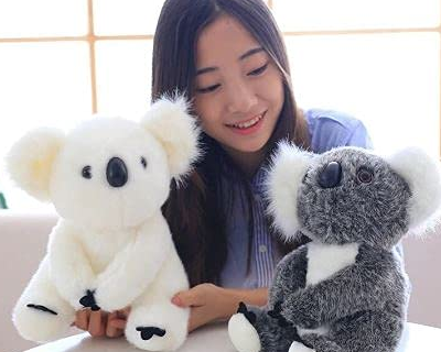 SOFT TOYS Koala Bear Soft Stuffed Plush Toy for Kids