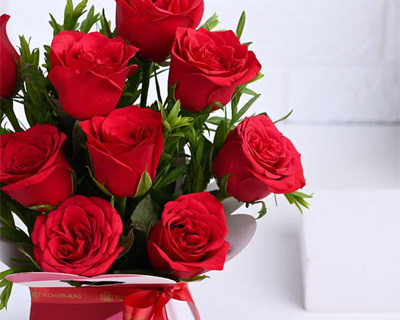 FlowerAura Premium Fresh Live Flower Bouquet of 10 Red Roses