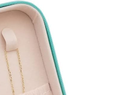 Portable Display Storage Box